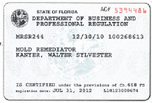 Mold License
